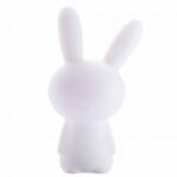 Color Rabbit42x24x16cm