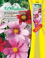 Cosmos bip. Schmuckkörbchen Sonata Mischung