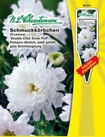 Cosmos bipinnatus Schmuckkörbchen