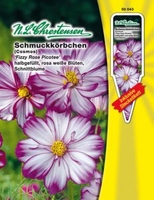 Cosmos bipinnatus Schmuckkörbchen