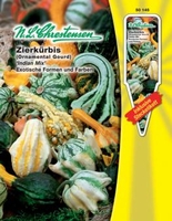 Cucurbita pepo - Zierkürbis - Indian Mix