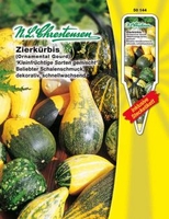 Cucurbita pepo Zierkürbis Kleinfr.Sorten