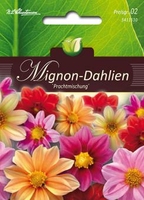 Dahlia Mignon-Mischung