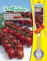 Datteltomate - Rodrigo