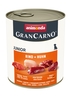 Dog GranCarno Junior 