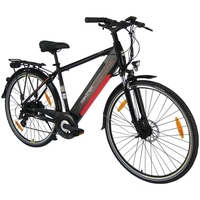 E-Trekkingbike MT-11