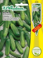 Einlegegurke Claudine F1