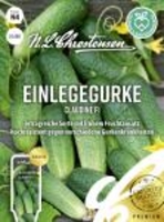 Einlegegurke Claudine F1