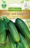 Einlegegurke Delikateß