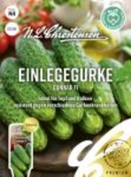 Einlegegurke Gunnar F1