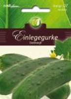 Einlegegurken - Delikateß