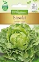 Eissalat Grandes Lagos