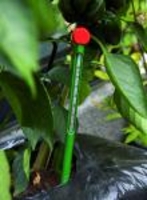 Erdthermometer Juliana