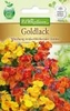 Erysimum Goldlack Mischung