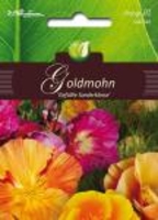 Eschscholtzia californica Goldmohn