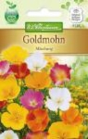 Eschscholtzia Goldmohn Mischung