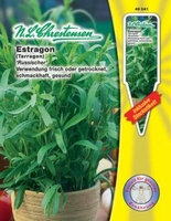 Estragon Russischer