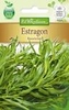 Estragon Russischer