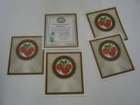 Etiketten - Etiketten