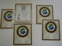 Etiketten - Etiketten