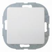 EverLuxe Taster - EverLuxe Taster