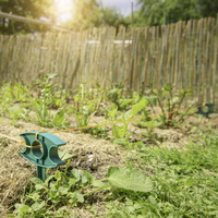 Garten- u. Pflanzenrichtschnur 15m