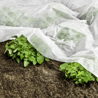 Garten-Vlies BASIC,  10x1, 5m,  17g/m²