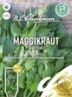 Maggikraut Liebstöckel