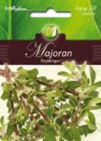 Majoran - einjährig