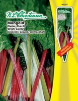 Mangold - Bright Lights