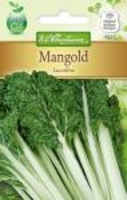 Mangold Lucullus
