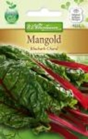 Mangold Rhubarb Chard rot
