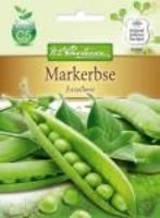 Markerbse Exzellenz