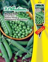 Markerbse Kelvedon Wonder