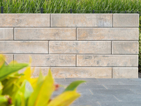 Mauerstein Lisco-Medio,  42x21x12, 5cm