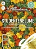 Studentenblume Niedrige Prachtmischung