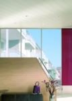 SWING-LINE PAN BUCHE 2600X168X 8,  MDF,  3, 06 qm