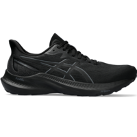 Asics GT-2000 12