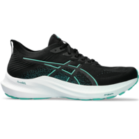Asics GT-2000 12