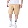 Champion Reverse Weave Shorts