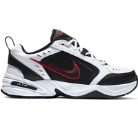 Nike Air Monarch IV