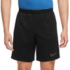 Nike Dri-FIT Academy Shorts