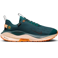 Nike Infinity RN 4 GTX
