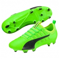 Puma evoPOWER Vigor 2 FG Herren Fußballschuhe Nocken grün