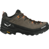 Salewa Alp Trainer 2 GTX