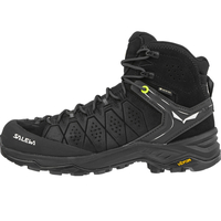 Salewa Alp Trainer 2 Mid GTX