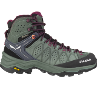 Salewa Alp Trainer 2 Mid GTX