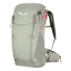 Salewa Alp Trainer 20l Backpack