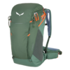 Salewa Alp Trainer 25