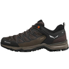 Salewa Mountain Trainer Lite GTX